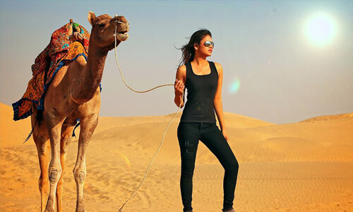 Camel Safari